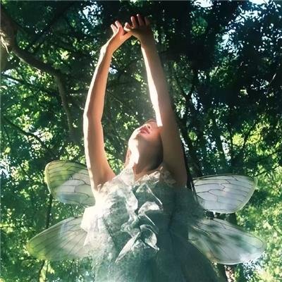 陶宝萍的幸福生活